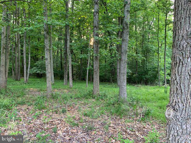 Oldfield Point Road - Photo 1