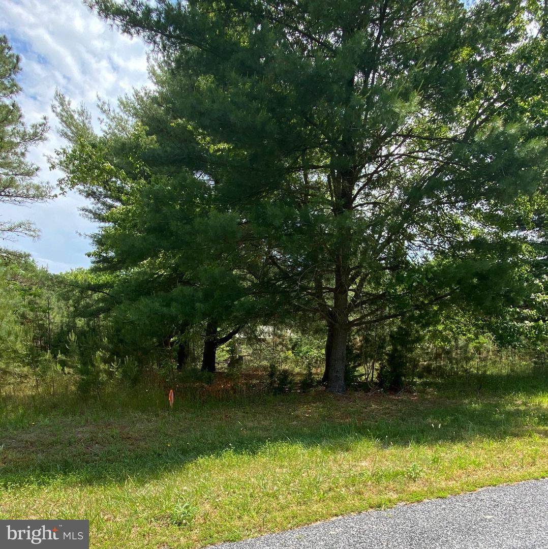 20877 Orchard Road - Photo 1