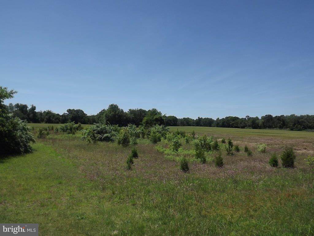 0 Tomlin Station Road - Photo 1