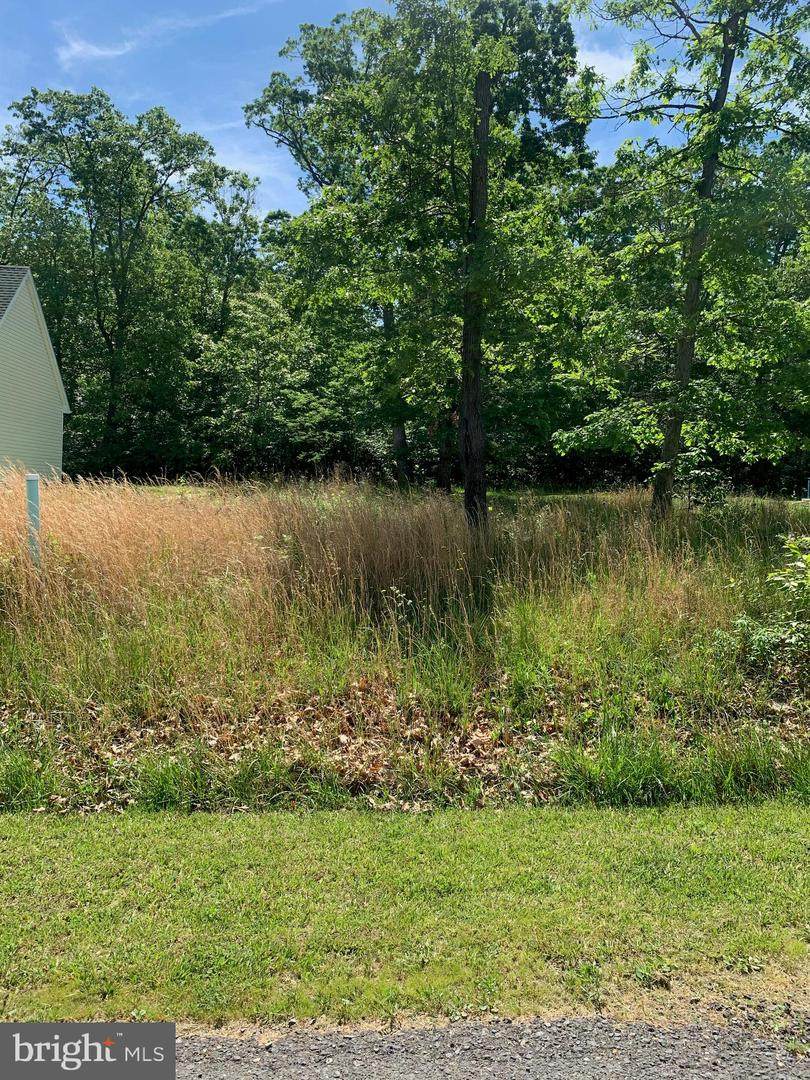 Shultz Way - Photo 1