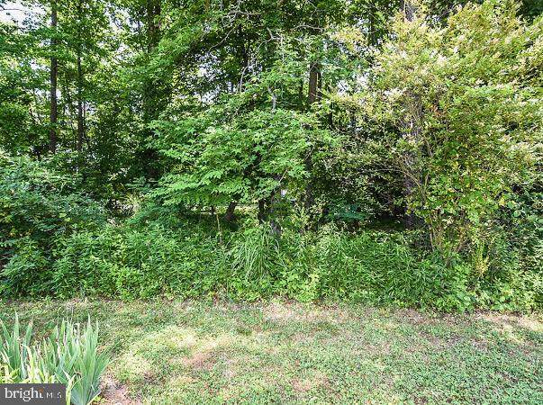 LOT# 101 North Independence Drive - Photo 1