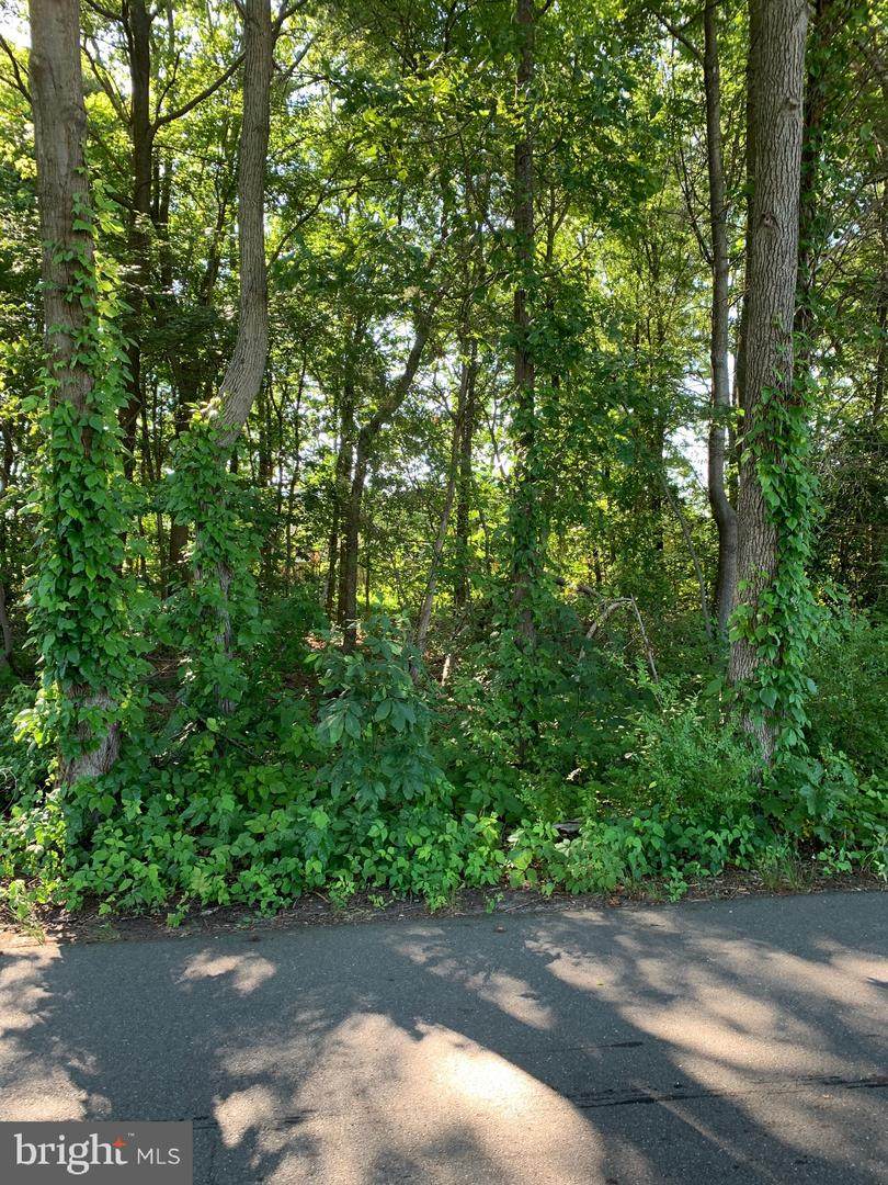 Pine Needle, Lot 9 Court - Photo 1