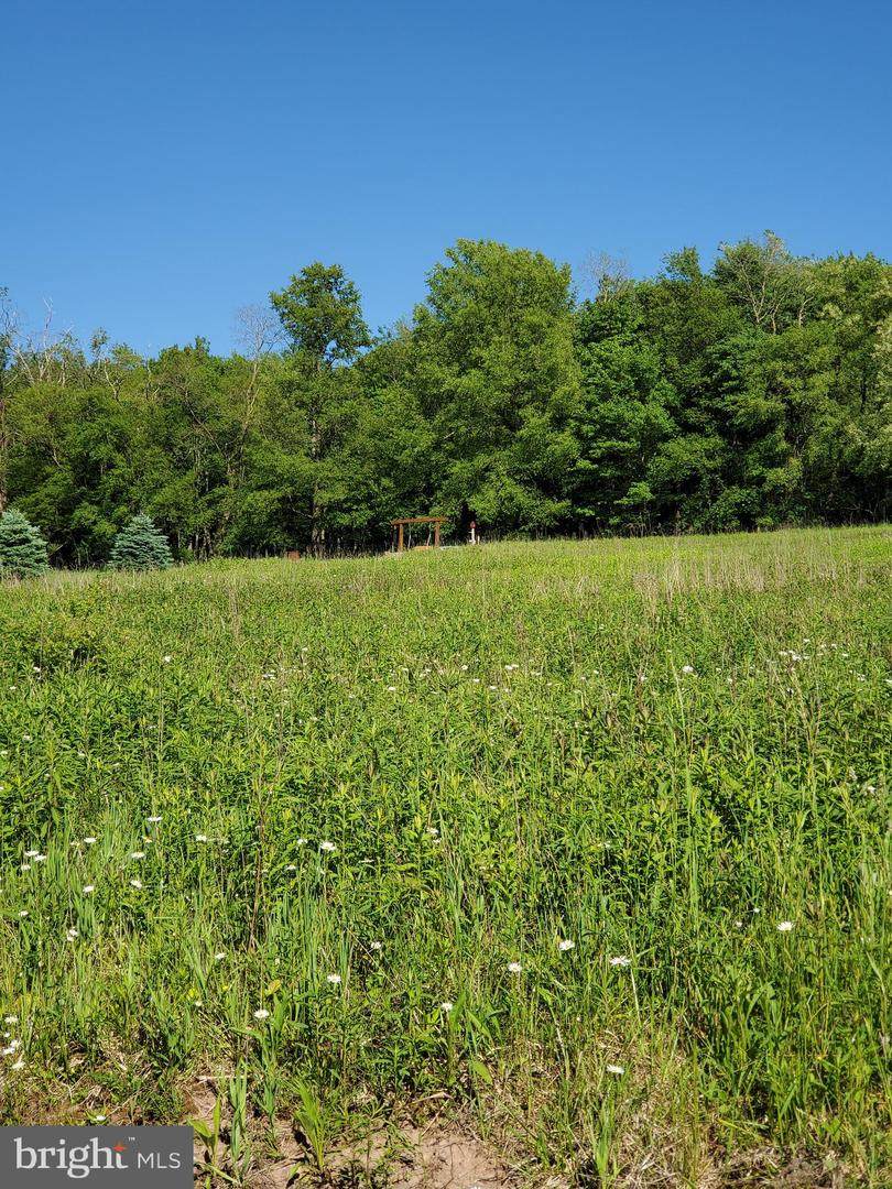 North Pass Trail Lot 7 - Photo 1
