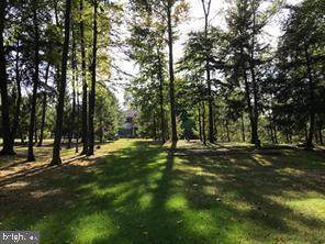 0 Tall Oaks Drive - Photo 1