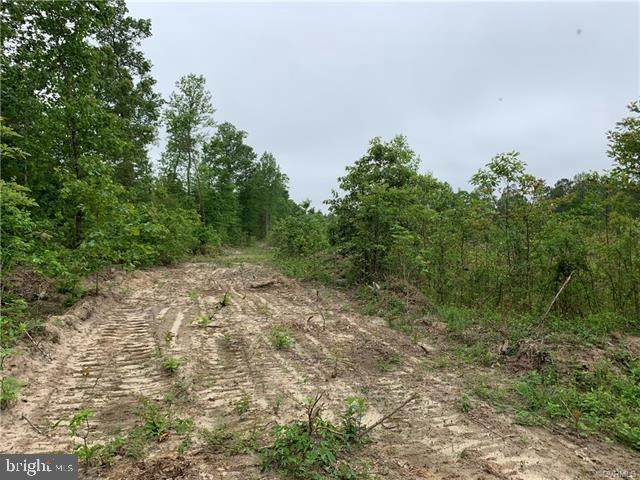0 Mt Landing Road - Photo 1