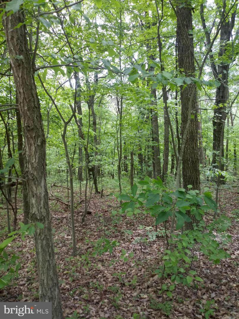 0 Forest Dr Ext - Photo 1