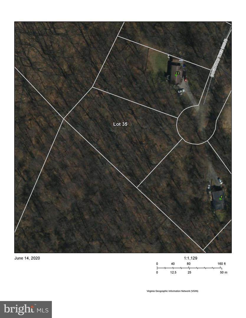 Lot 35 Dogwood Tree Drive - Photo 1