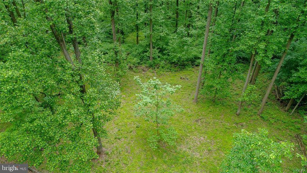125 & 135 Hexenkopf Road - Photo 1