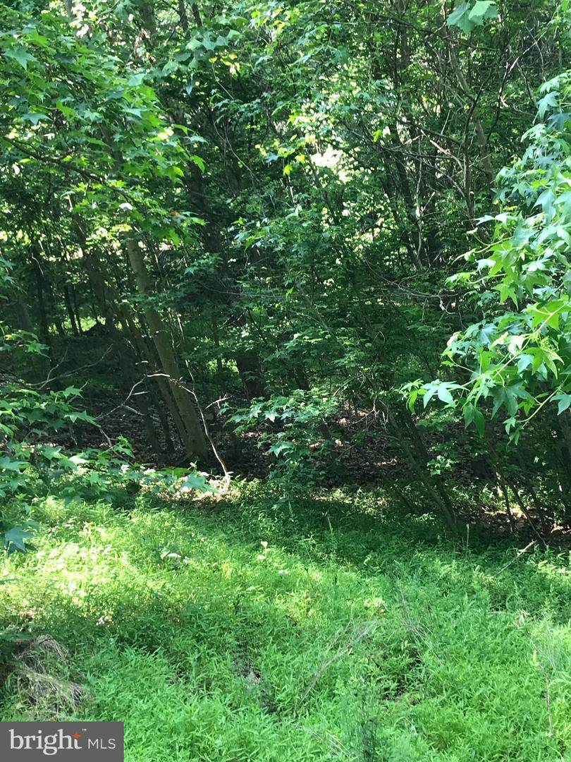 Lot 6 Osprey View Lane - Photo 1