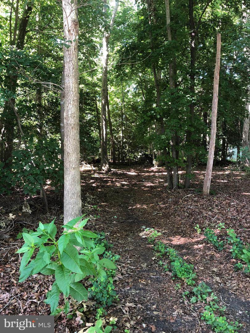 Lot 29 Lakeview Dr - Photo 1