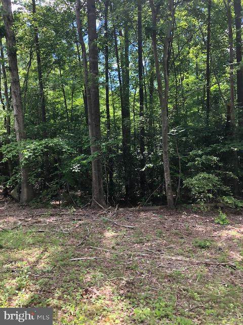 00 Turkey Trot Road - Photo 1