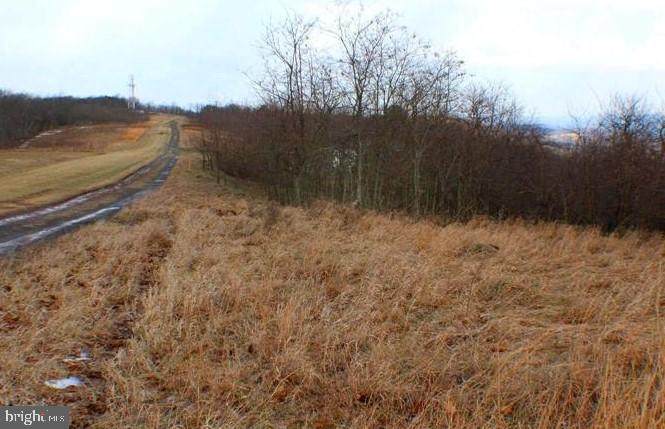 Nathaniel Drive - Photo 1