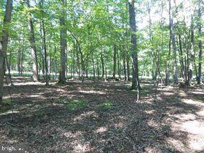 Lot 29 Honey Locust Lane - Photo 1