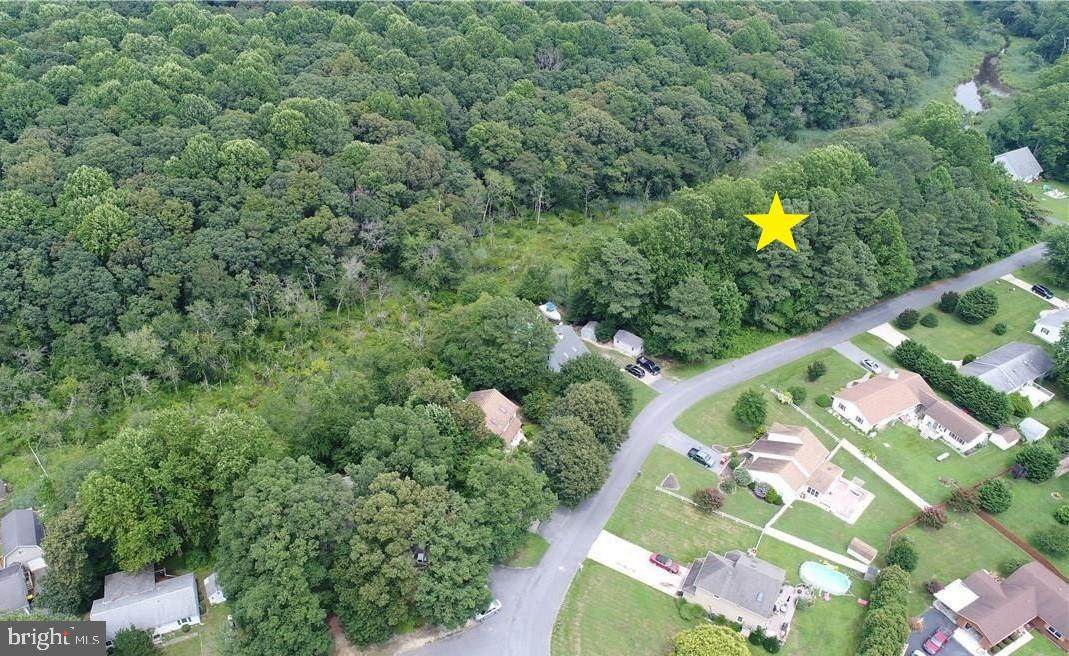 Lot 30 Wandering Lane - Photo 1