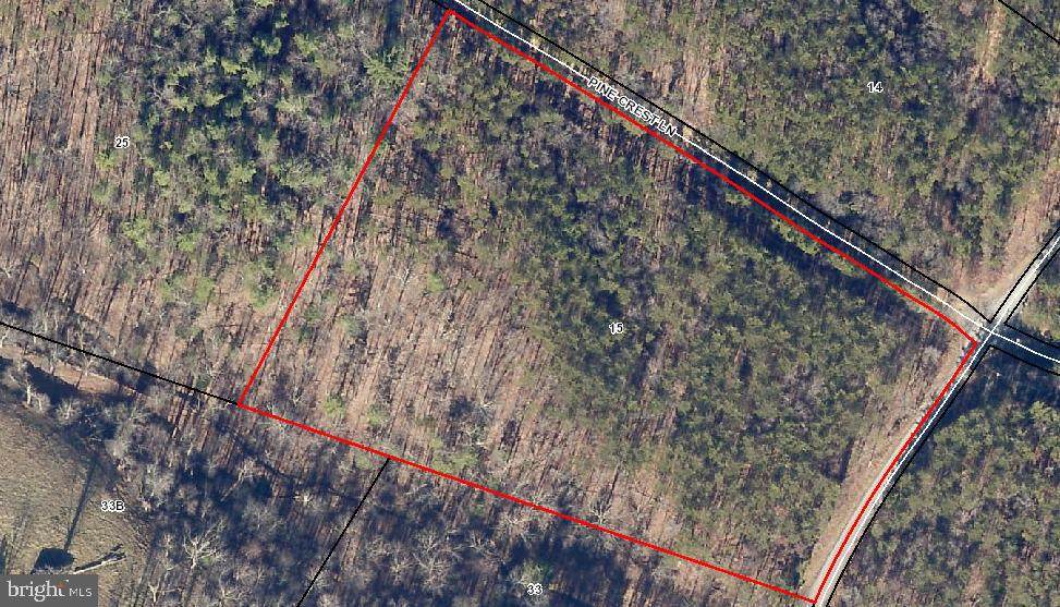 Lot 15 Pine Crest Lane - Photo 1