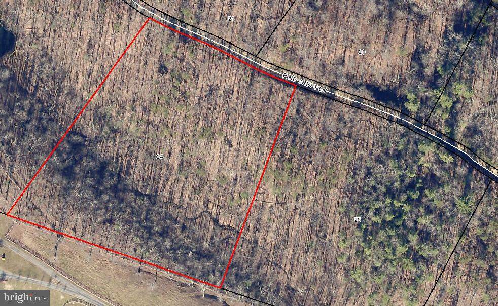 Lot 24 Pine Crest Lane - Photo 1