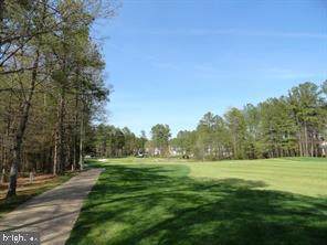 11606 Little Bay Harbor Way - Photo 1