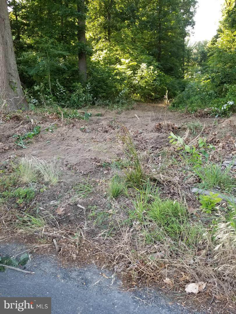 Lot 2 Cave Neck Rd - Photo 1