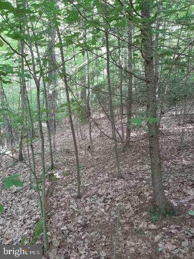 LOT 29/30 Rupp Road - Photo 1