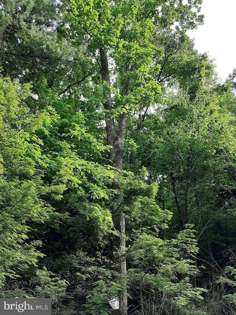Lot 22/23A Rupp Road - Photo 1
