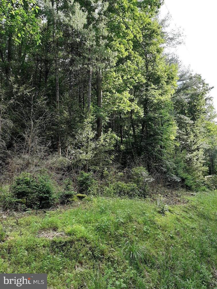 Lot # 28 Rupp Road - Photo 1