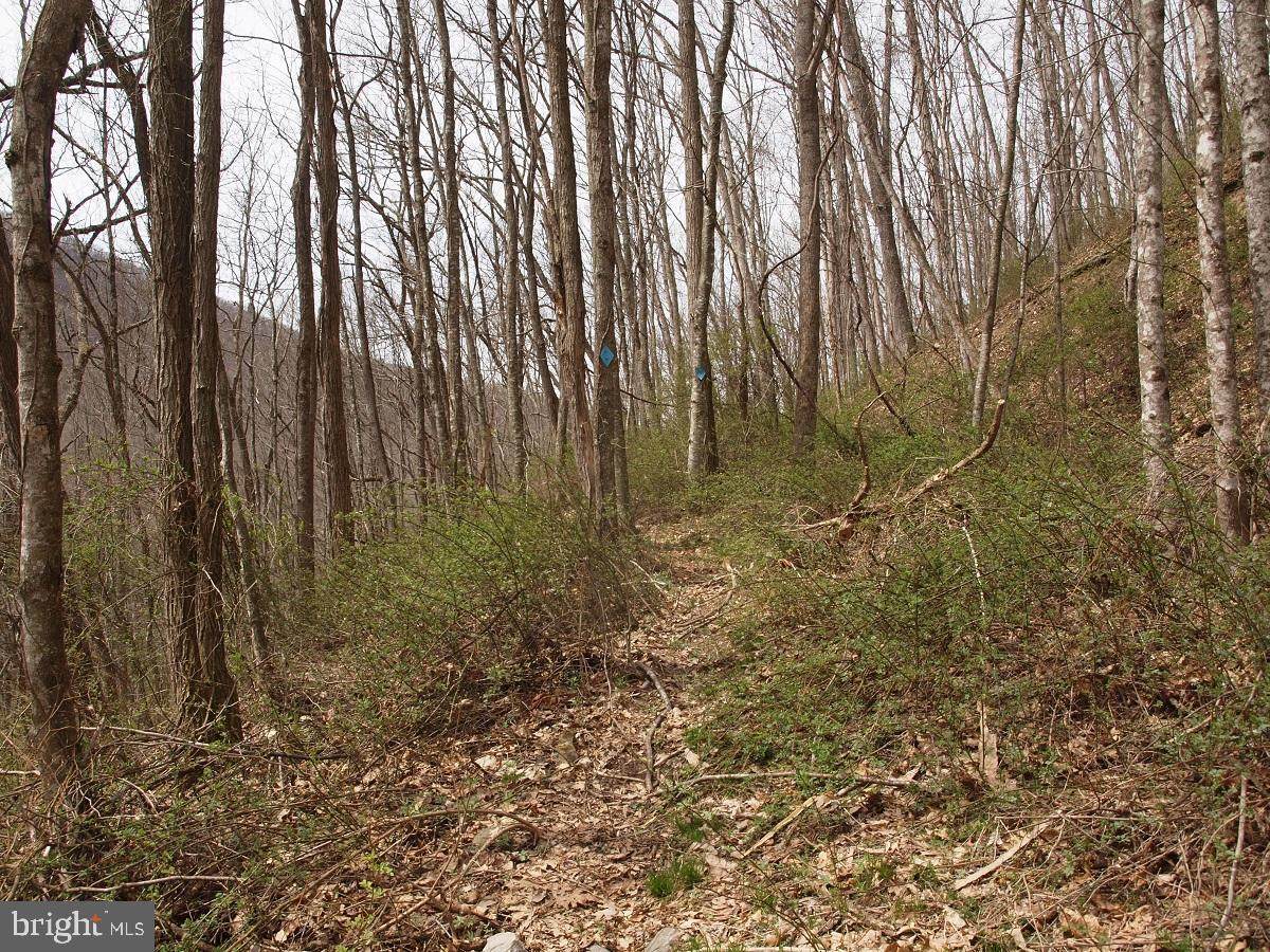 BIG MTN - Vance Road - Photo 1