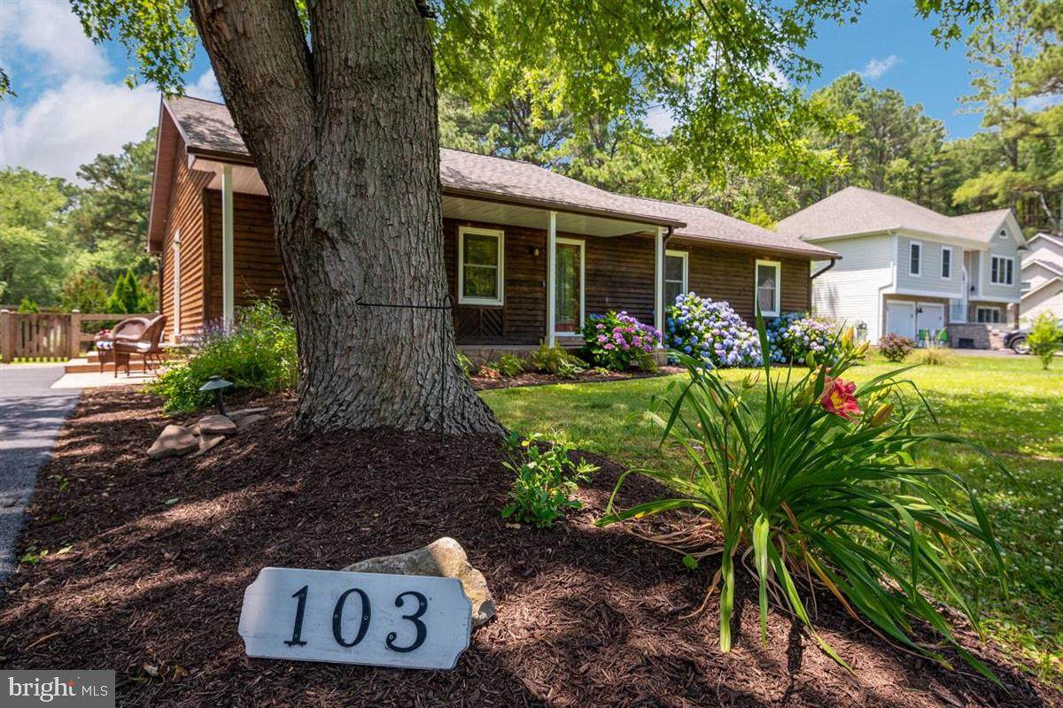 103 Dorchester Road - Photo 1