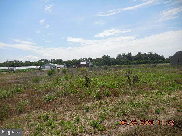 30453 Fire Tower Road - Photo 1