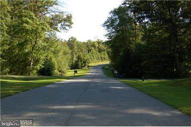 2341 Walnut Spring Court - Photo 1