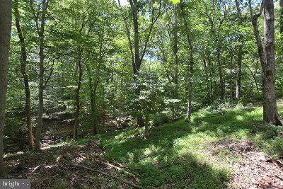 9557 Bell Drive - Photo 1