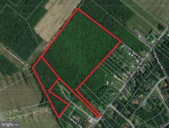 0 White Oak Rd - Photo 1