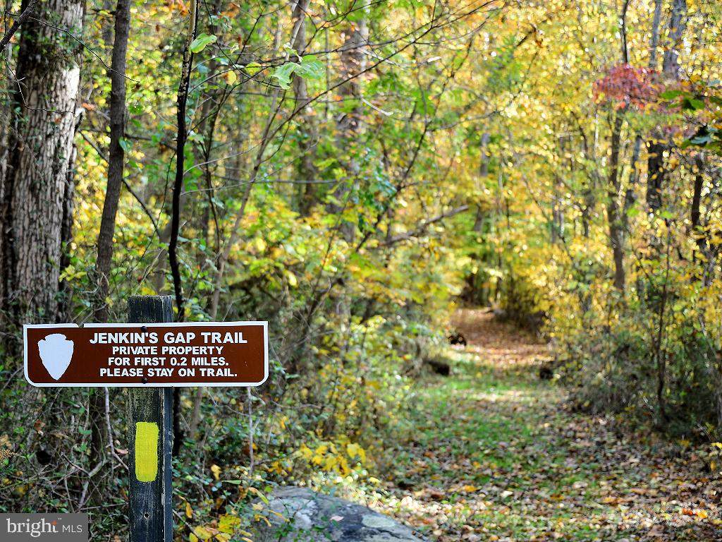 Smith Run Road - Photo 1