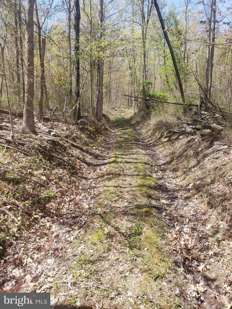 LOT 3 Back Road - Photo 1