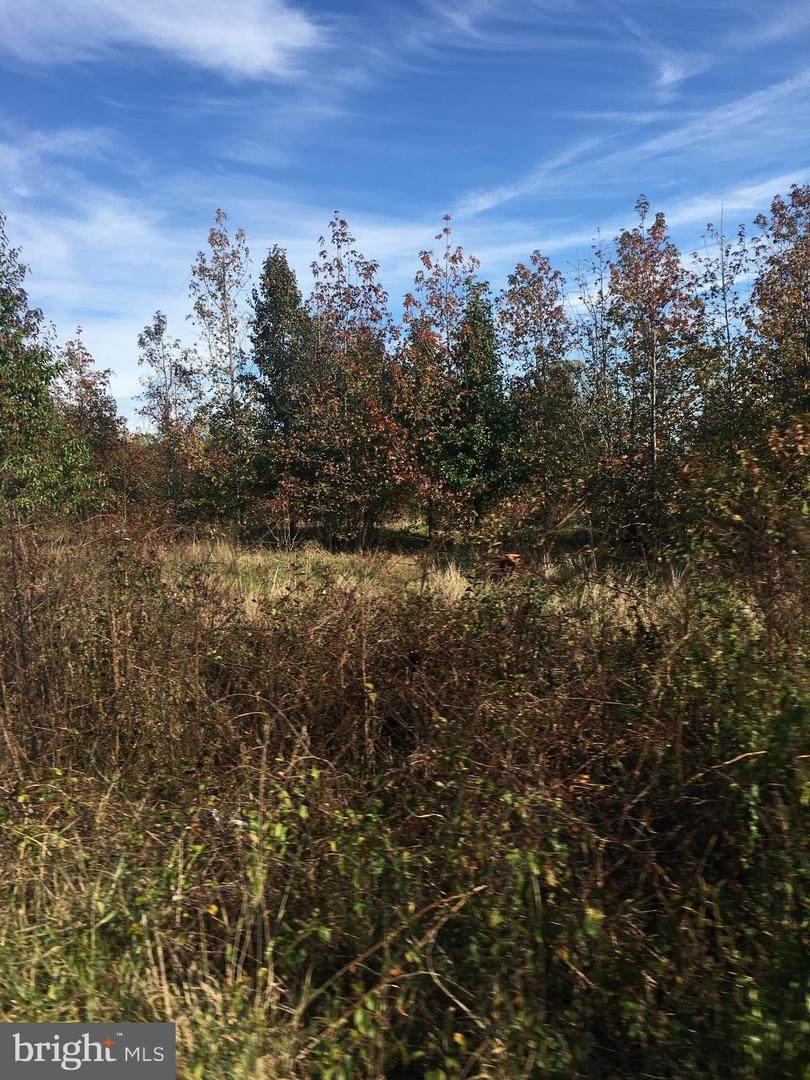 02 Gross Lane - Photo 1