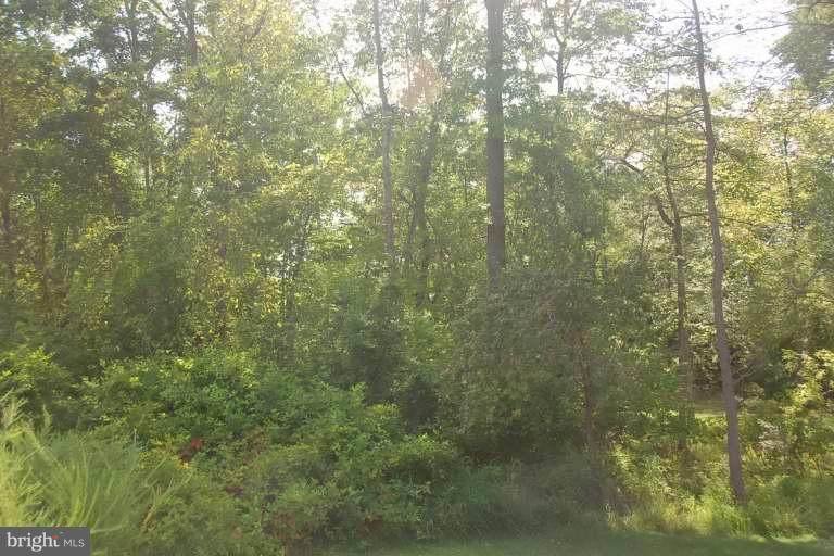 0 Old Busthead Rd - Photo 1