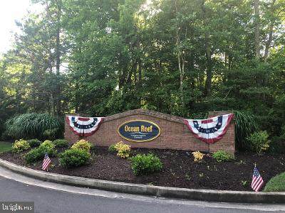 9508 Harbor Light Drive - Photo 1