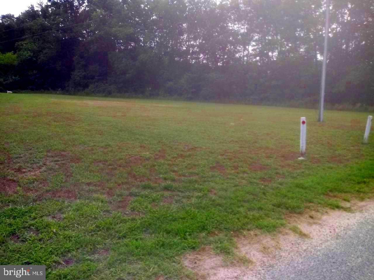0 Wallertown Road - Photo 1