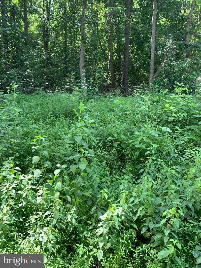 72 American Drive - Photo 1