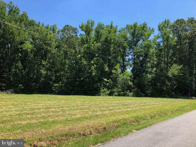 00 Newmans Neck Road - Photo 1