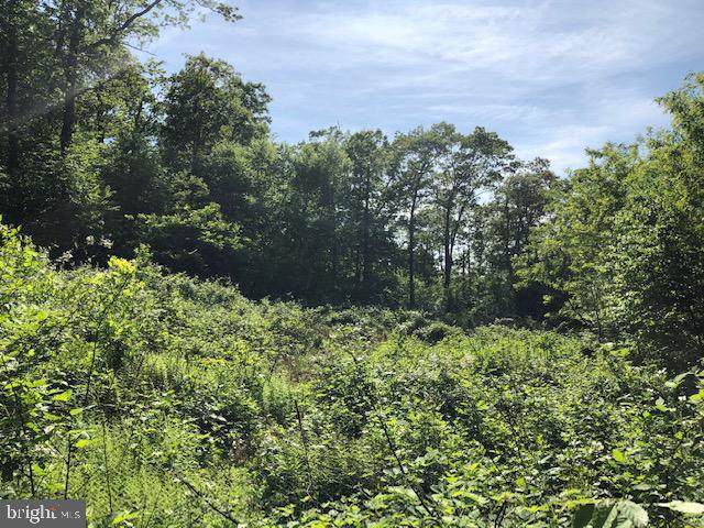 OFF Park Trail - Photo 1