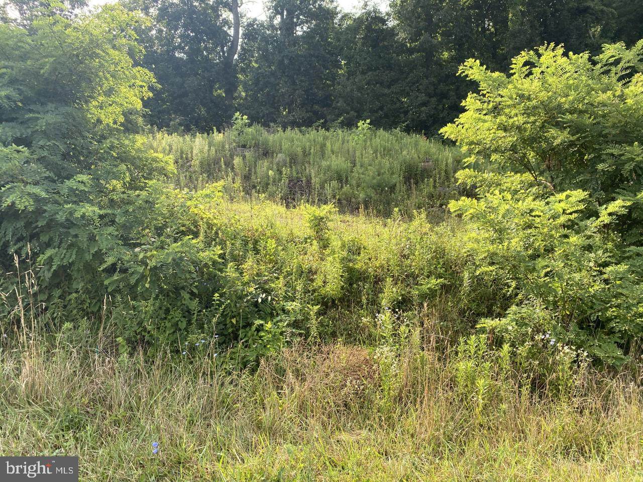 13850 Mar Way - Photo 1