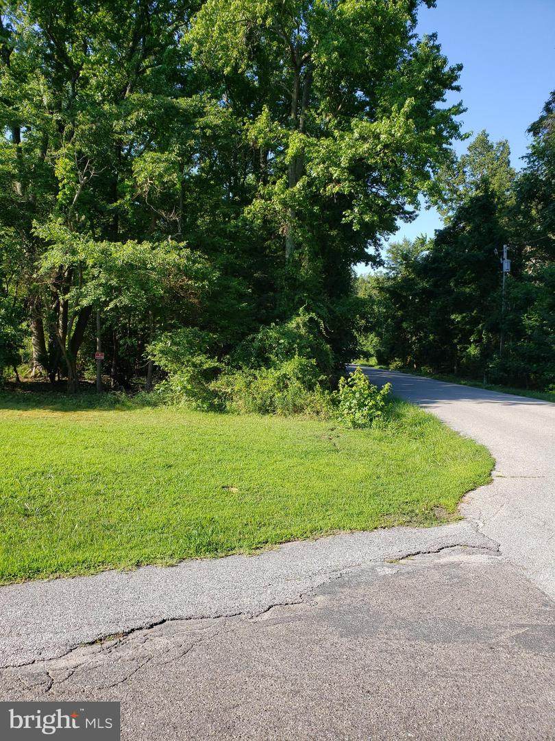2159 Springdale Road - Photo 1