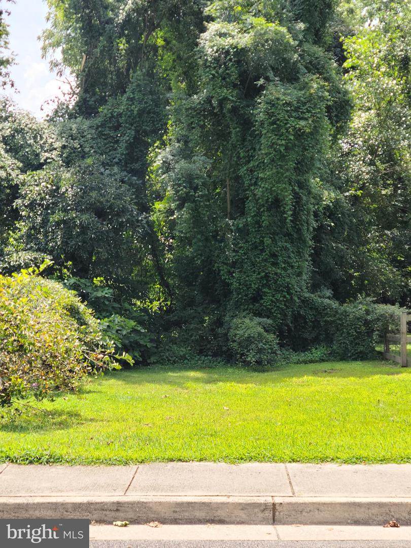 Little Kidwell Avenue - Photo 1