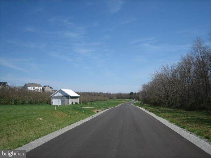 Lot 3 South Paw Lane - Photo 1