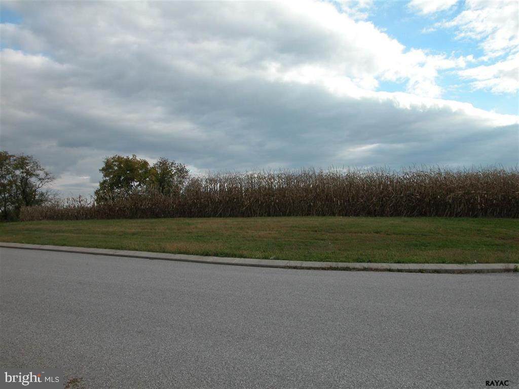 966 Shenandoah Lane - Photo 1