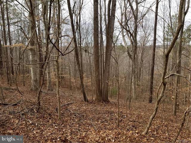 00 Landora Bridge Road - Photo 1