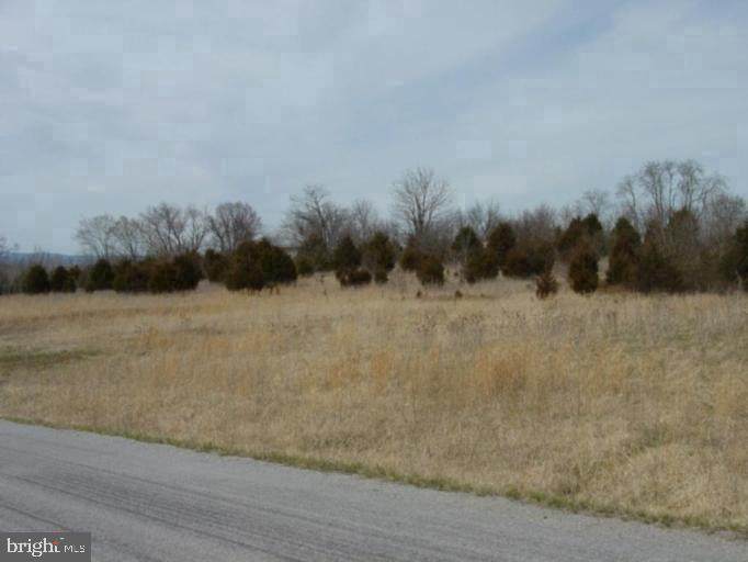 Martz Drive - Photo 1