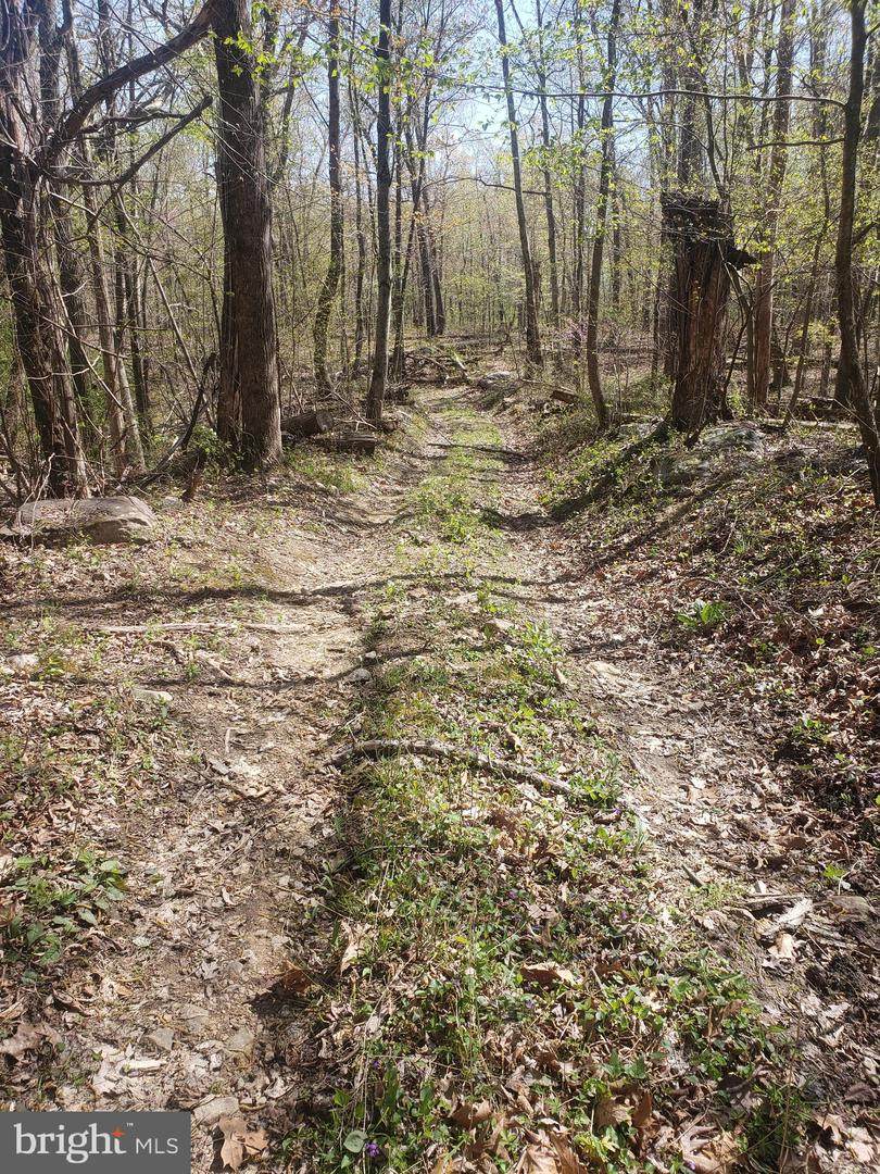 Lot 2 Back Road - Photo 1