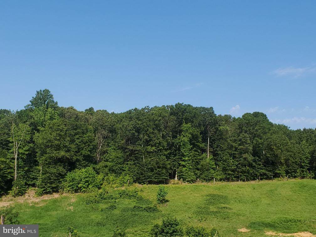 16410 Bealle Hill Road - Photo 1