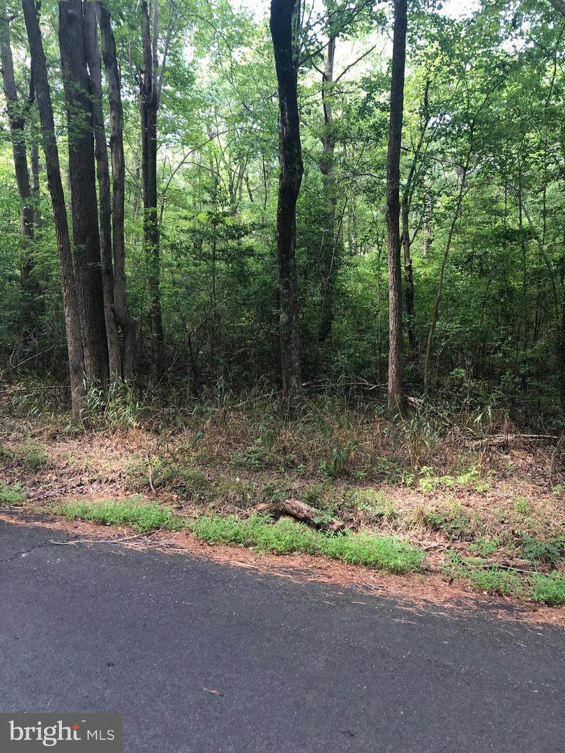 0 THICKET RD - Photo 1